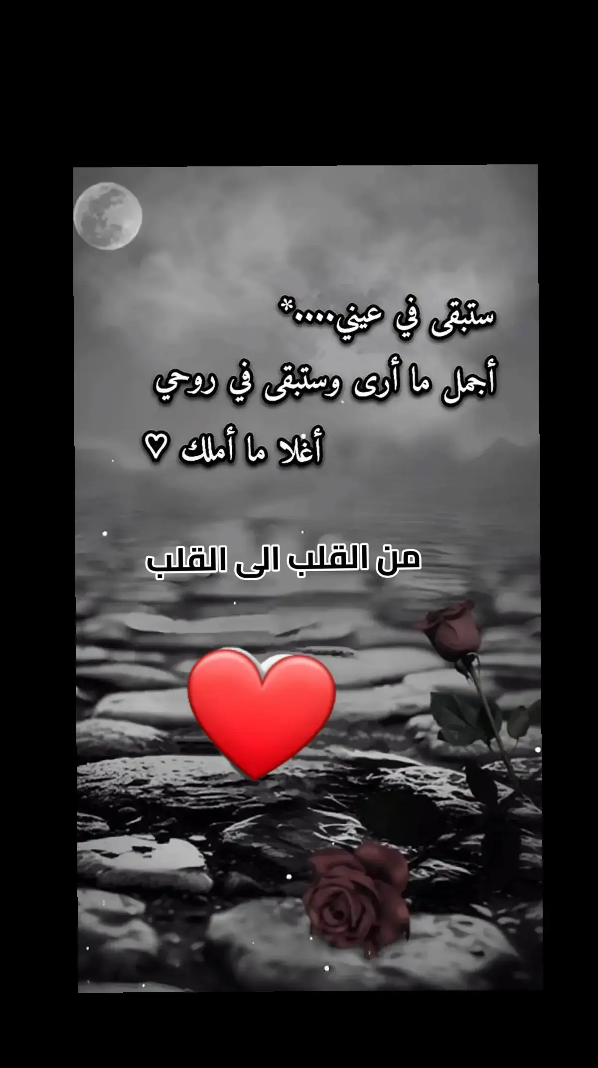 #عزيز_الروح #من_القلب_إلى_القلب❤ #عبارات_جميلة🦋💙 #كلام_جميل_جدا #حين_تزرع_السعادة_في_قلب_إنسان🥀🌷🌹🤲🏻💞 