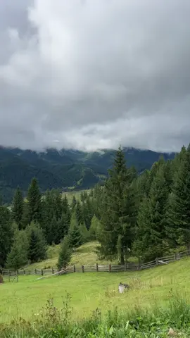 Гори🫶🏽 #рекомендации #ukraine #гори #карпати #recommendations 