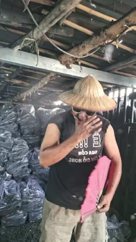 Chúc các bạn buổi chiều thật nhiều hạnh phúc 🥰🥰