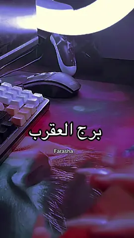 #برج #العقرب #تاروت #تاروت_ابراج #تاروت_المنفصلين @Farasha 🦋 @ضي تاروت 