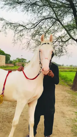 #MashAllah #❤️❤️ #foryoupage 