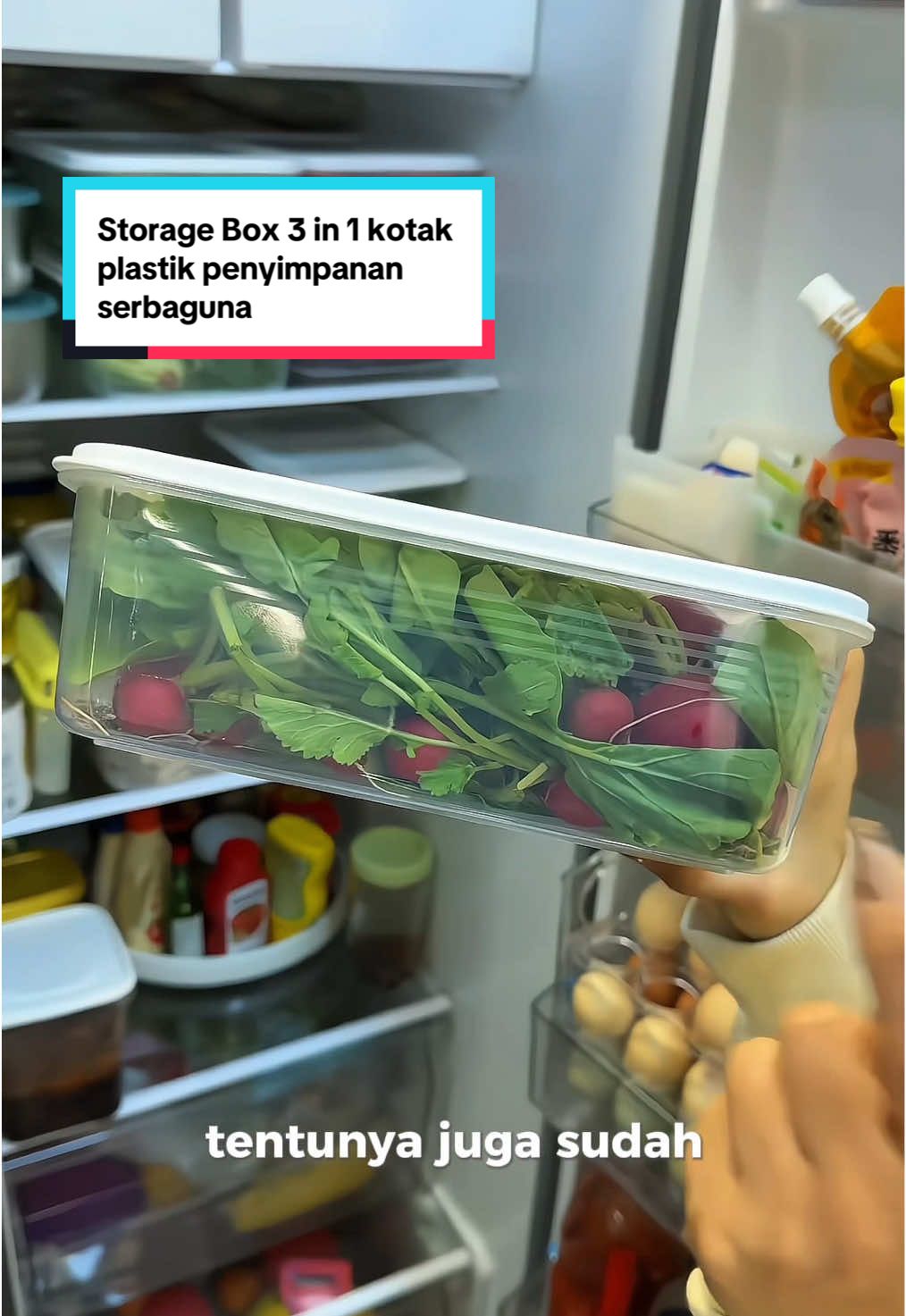 Storage Box 3 in 1 kotak plastik penyimpanan serbaguna#fyp#storageboxmakanan#storagepenyimpanan#kotaktransparan 