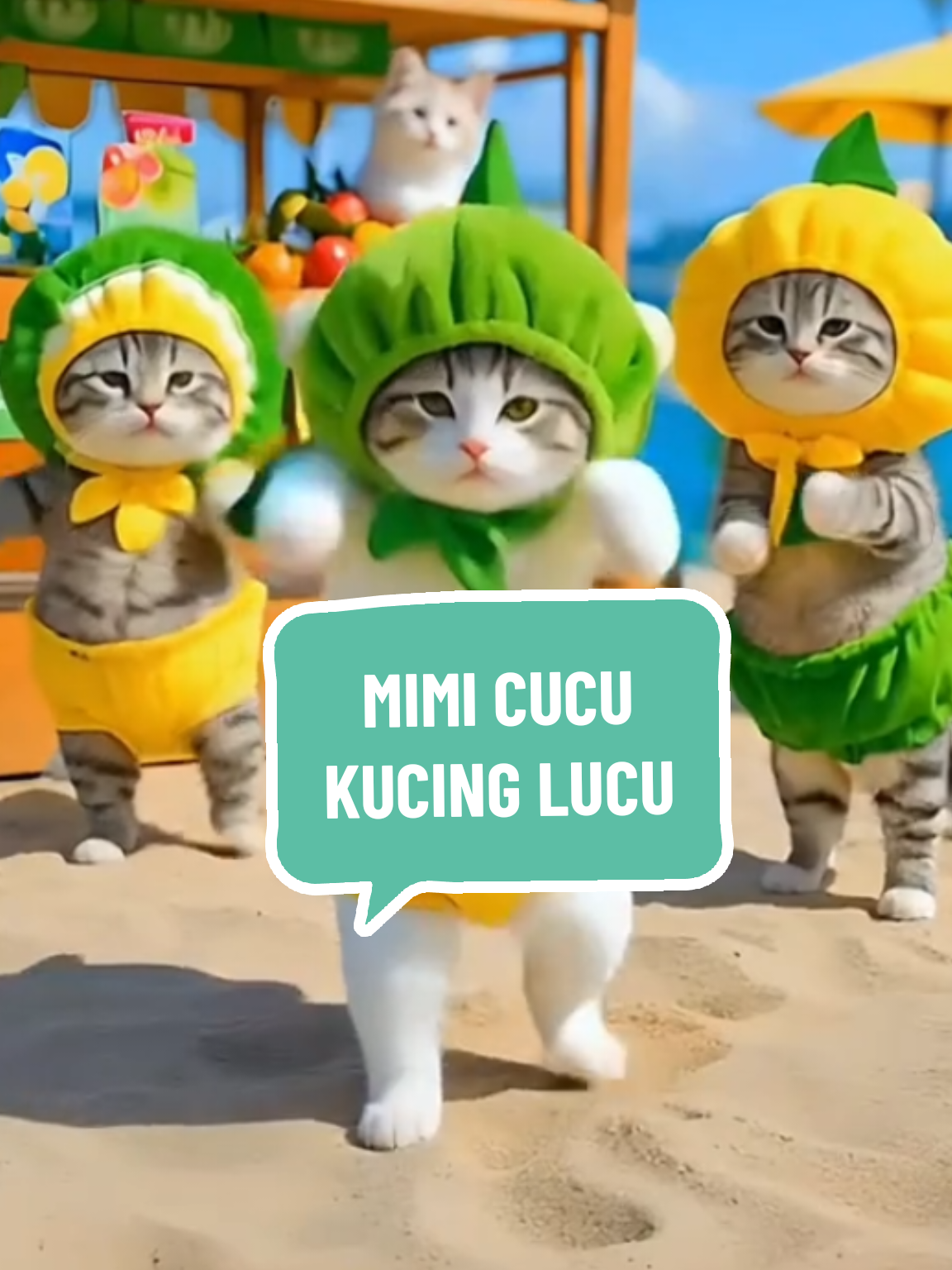 KUCING NYANYI MIMI - CUCU KUCING LUCU KUCING MEONG MEONG KUCING JOGET #kucinglucu #kucing #kucingtiktok #kucinggemoy #kucingoren 