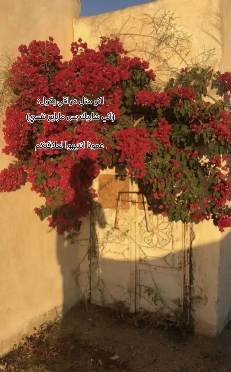 انتبهو لعلاقتكم