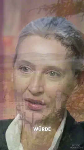 Was wird Alice Weidel machen wenn sie Kanzlerin wird?