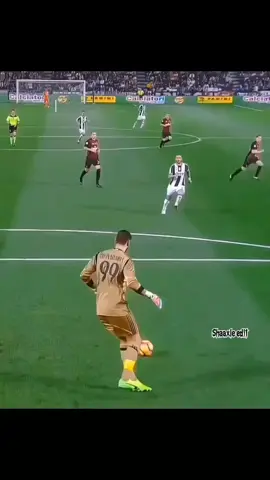 Plz follow me 💔#benzema #goalkeeper #viral #fyp #foryou 