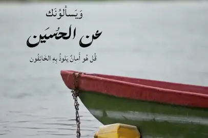 ملاذي🤍#قصائد_حسينيه #باسم_الكربلائي #الامام_الحسين_عليه_سلام #محتوى_حسيني #اللهم_صل_على_محمد_وآل_محمد 