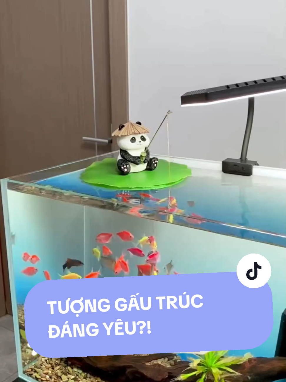 Tượng gấu trúc panda đáng yêu ngồi câu cá! 🐼🐠 Trang trí bể cá, tiểu cảnh thêm sinh động, vui mắt. Chất liệu bền, an toàn. #ennhoaqua  #TượngGấuPanda #TrangTríBểCá #VậtTrangTríTiểuCảnh #GấuTrúcCâuCá