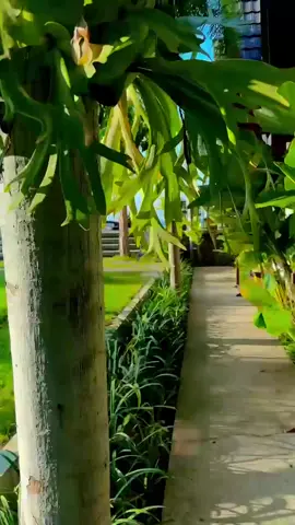 yuk segera booking🥰🥰🥰