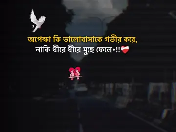 অপেক্ষা কি ভালোবাসাকে গভীর করে, নাকি ধীরে ধীরে মুছে ফেলে•!!❤️‍🩹#stutas #foryourpage #stutes_video #unfrezzmyaccount #bangladeshtiktok @#foryou @Tiktok Vrial01 @TikTok Bangladesh @tiktokindail 