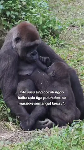 #fypp inpone cah😪#jowopride #katakata #sindiran #puitekchanel 