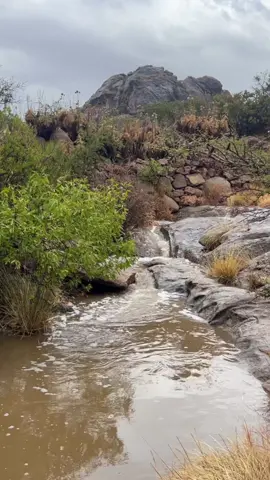 يقول البدر  رحمه الله: ‏اذكريني كل ماشفتي غيمة سحاب  ‏قولي تراه يحبني كثر المطر  ..🌧️ #صباحياتي🌸🎼الفخمه #النماص_الجنوب_عسير_تنومة_بني_شهر💕 #تصويري_احترافي_الاجواء👌🏻🕊😴 #غيوم_السماء_تصويري📸🌥💙عشقي_الغيوم☁️ 