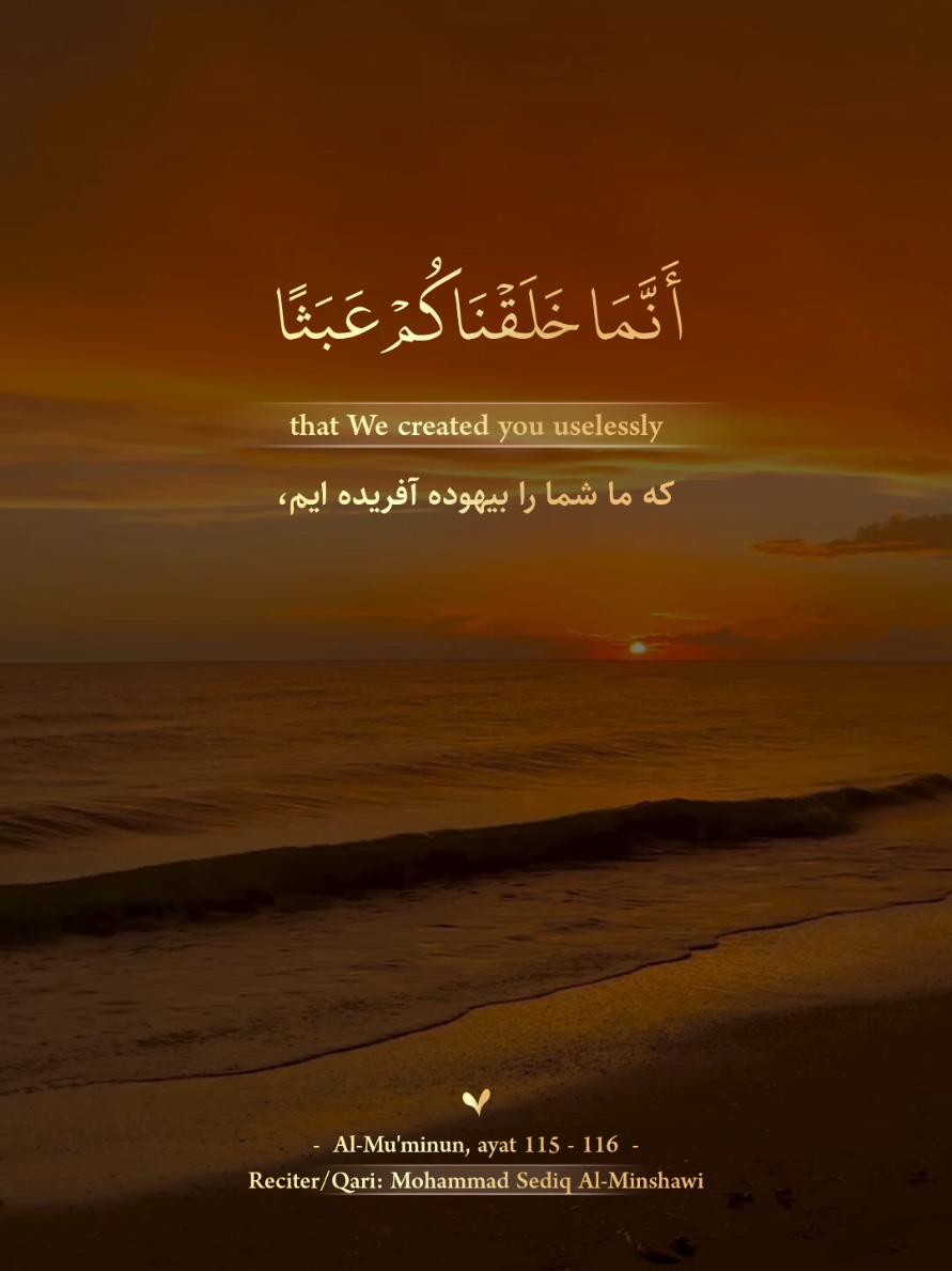 #best_quran_recitations #قرآن_كريم_راحة_نفسية #شیخ #محمد_صدیق_المنشاوي 