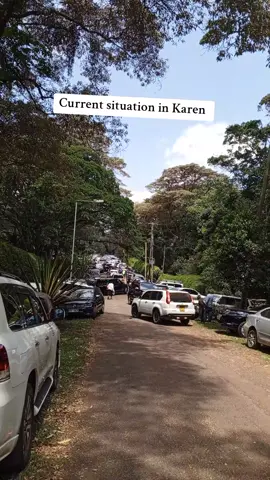 Current situation in Raila Odinga's home #railaodinga #kenyatiktok🇰🇪 #akotokevin #trendingvideo 