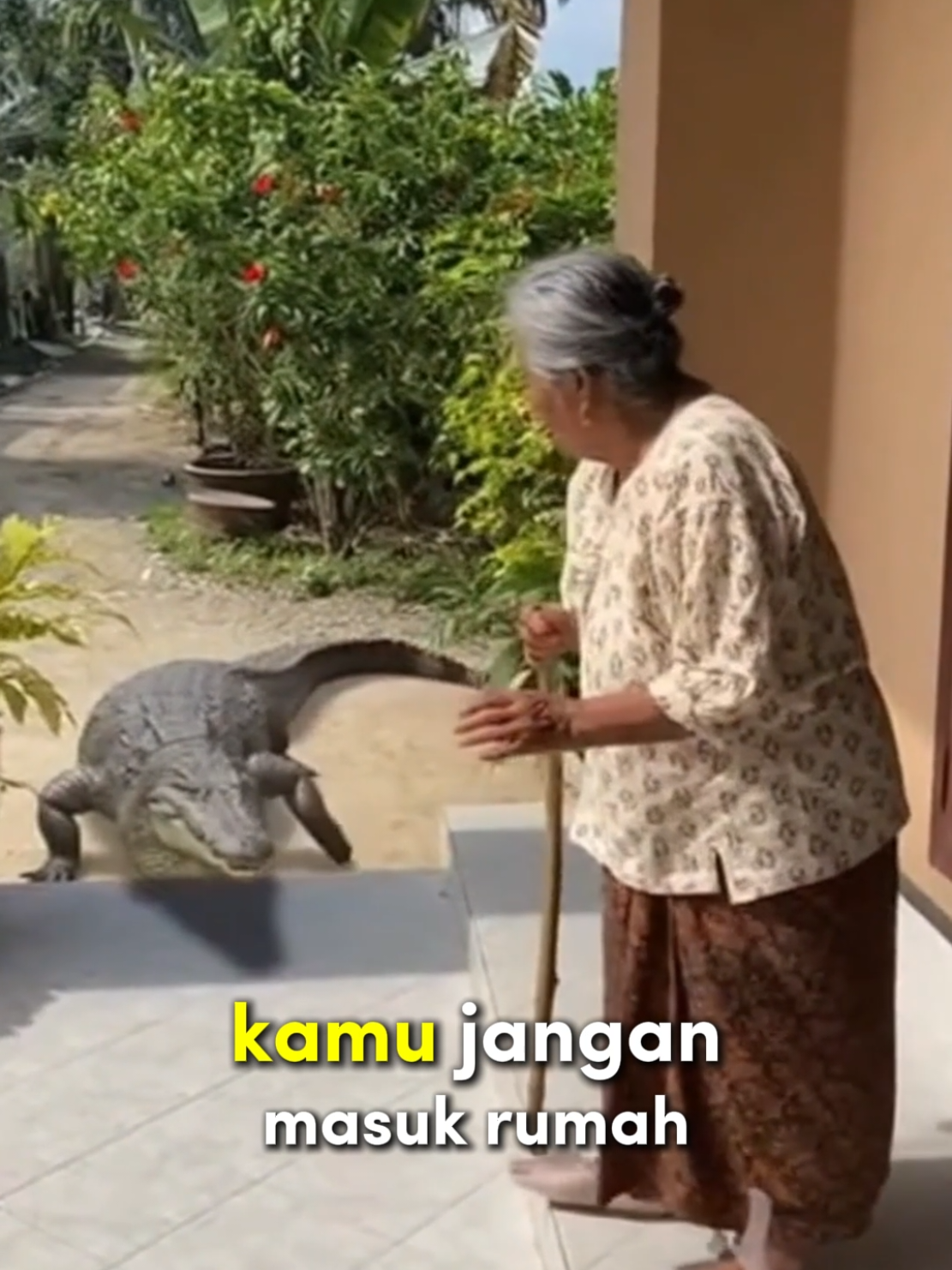 Follow dulu biar gue kasih panduan lengkap cara bikin video Ai ini tanpa watermark.. #aivideo #ailucu #aiindonesia 