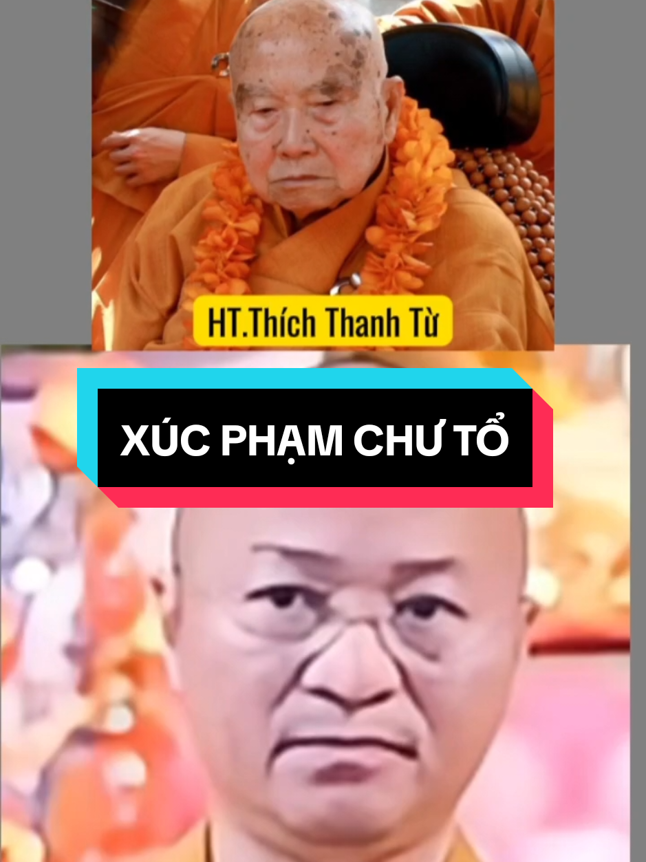 Thích Nhật Từ ngạo mạn xúc phạm cả chư Tổ #thichnhattu #CapCut 