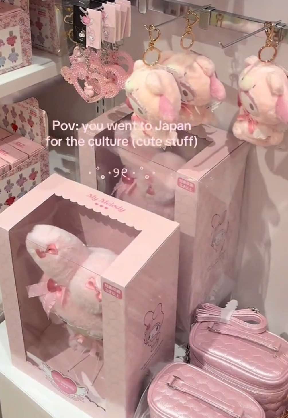 Mainly the Sanrio tbh #japan #sanriostore #pinkaesthetic #pink #coquette 