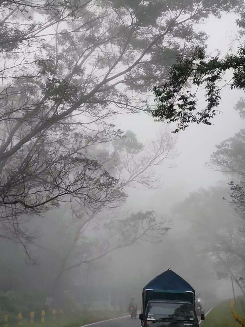 Kabut tebal dan kenangan😶‍🌫️ #fyp #dalantembuscemorosewu  #karanganyar24jam #sarangan #jawastory 