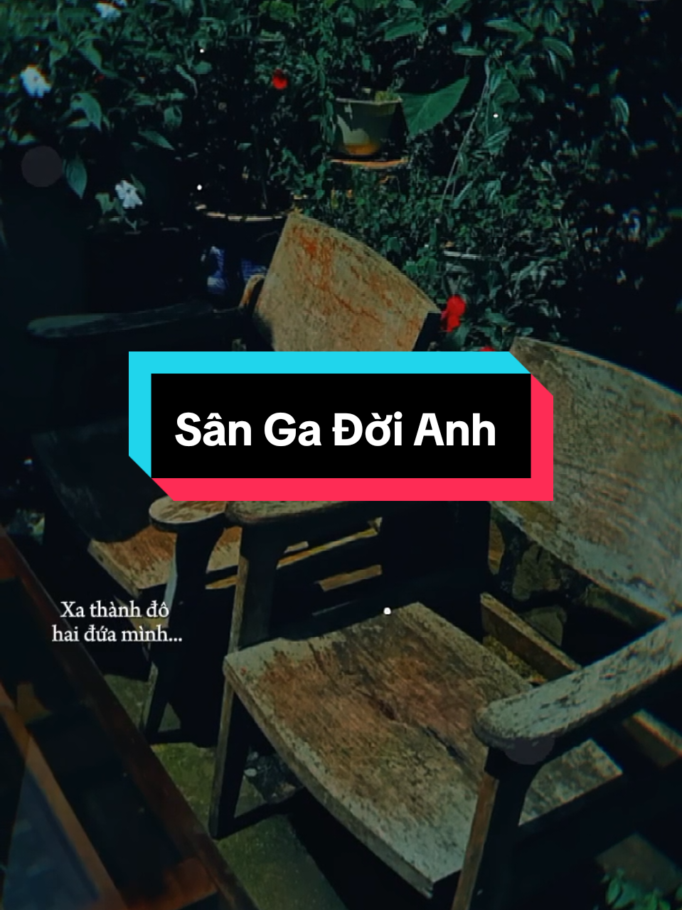 Con tàu anh lái...Xa thành đô hai đứa mình... Cùng về quê cắm câu thành bình...Vui thú điền viên... [ Sân Ga Đời Anh ]  #sangadoianh #nhactamtrang  #tamtrang  #maucapcut  #sadbuon1987 