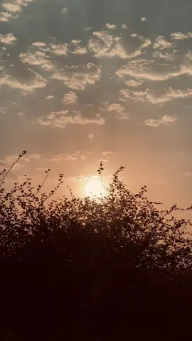 تبتسم؟ #شعر  #عبارات 