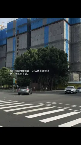 有时控制情绪的唯一方法就是保持沉默，什么也不说。