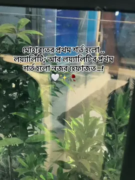 #CapCut মোহাব্বতের প্রথম শর্ত হলো .. লয়্যালিটি; আর লয়্যালিটির প্রথম  শর্ত হলো নজর হেফাজত ..! 🤍✨🥀#foryou #foryoupag #growmyaccount #unfreezemyacount @For You @TikTok @TikTok Bangladesh 