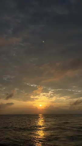 Mong em hiểu cho con tim nhỏ nhoi..