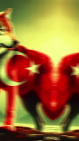 Turan eller varolsun🤘🇹🇷🐺🇦🇿🇵🇰#turanbirliği🇹🇷🇦🇿🇺🇿🇰🇿🇰🇬🇹🇲 #asenabozkurt #türkiye #fypage #fypppppppppppppppppppppp 