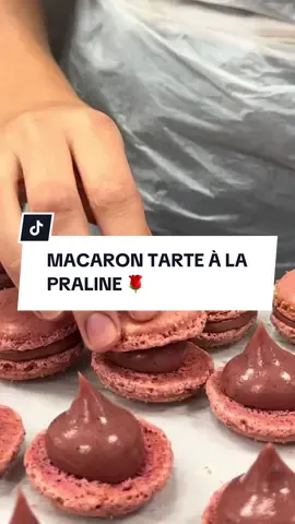 Les macarons Sève sont disponibles en livraison dans toute la France 📦👨‍🍳 #macaron #macarons #praline #meringue #patisserie 