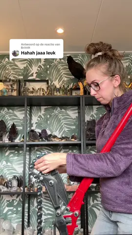 Antwoorden op @Britttlt  kraakvideo #geode #geodekraken #thegreenstones 