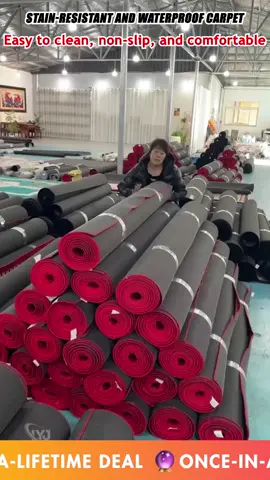 🎁 Beautiful gift🥳Luxury Stain Resistant Carpet
