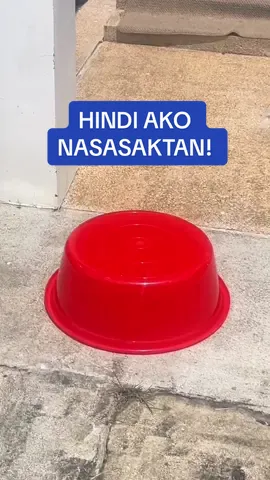 Masakit pero totoo, walang makakatalo sa Orocan #AngPlasticNaTotoo #MayForeverSaOrocan 