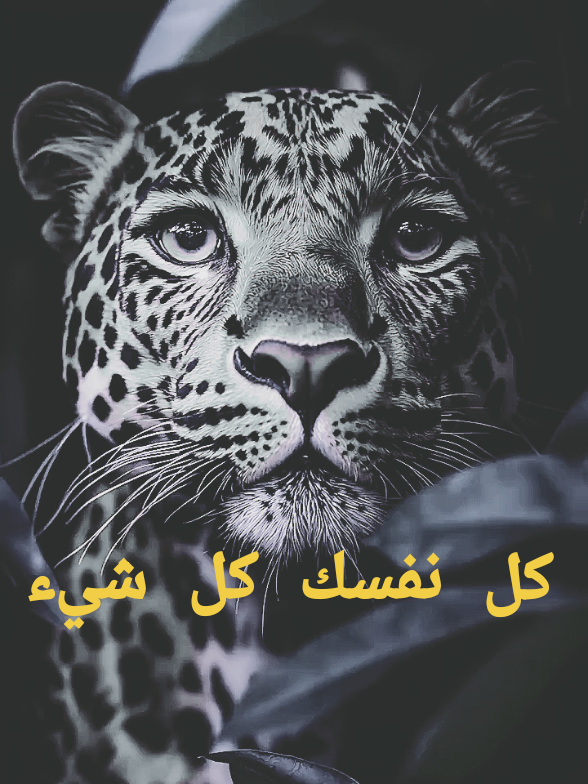 تحفيزات اقتباسات  . . #خواطر #خواطر_للعقول_الراقية  #اقتباسات #اقتباسات_عبارات_خواطر #ai 