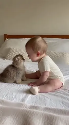 Bebekle kedi gerçekten konuşuyor gibi! 😍🐾#funny #baby #keşfet #cute 