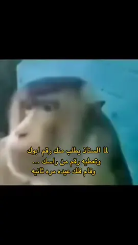 #فديوهات_مضحكه😂 #مشاهدات #الشعب_الصيني_ماله_حل #viral #foryou 