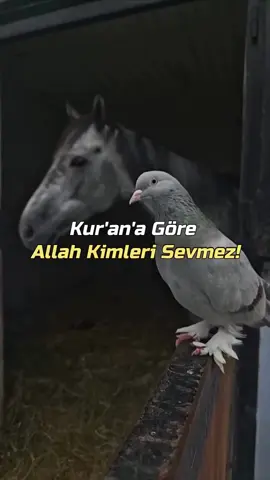 ELİF GİBİ 🍂