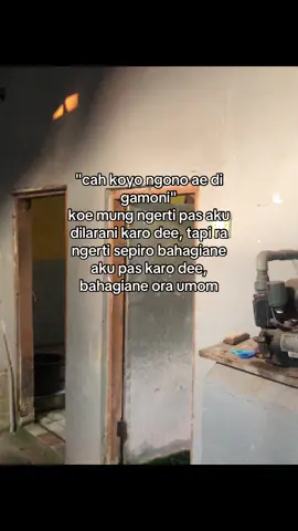 Seko Kene paham to #jowostory #hoohtenan #fypシ 