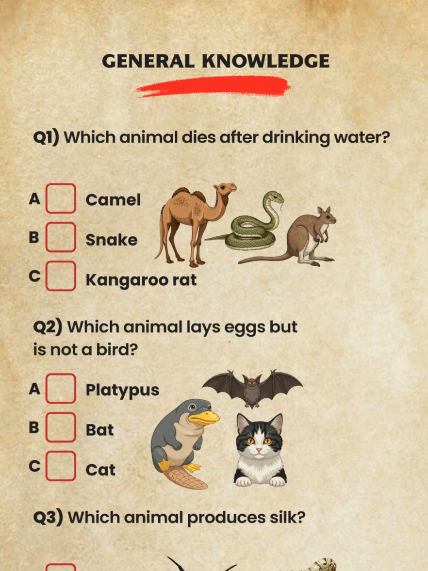 General Knowledge Can you get 6/6? #generalknowledge #quiz #china #sahara #LearnOnTikTok 