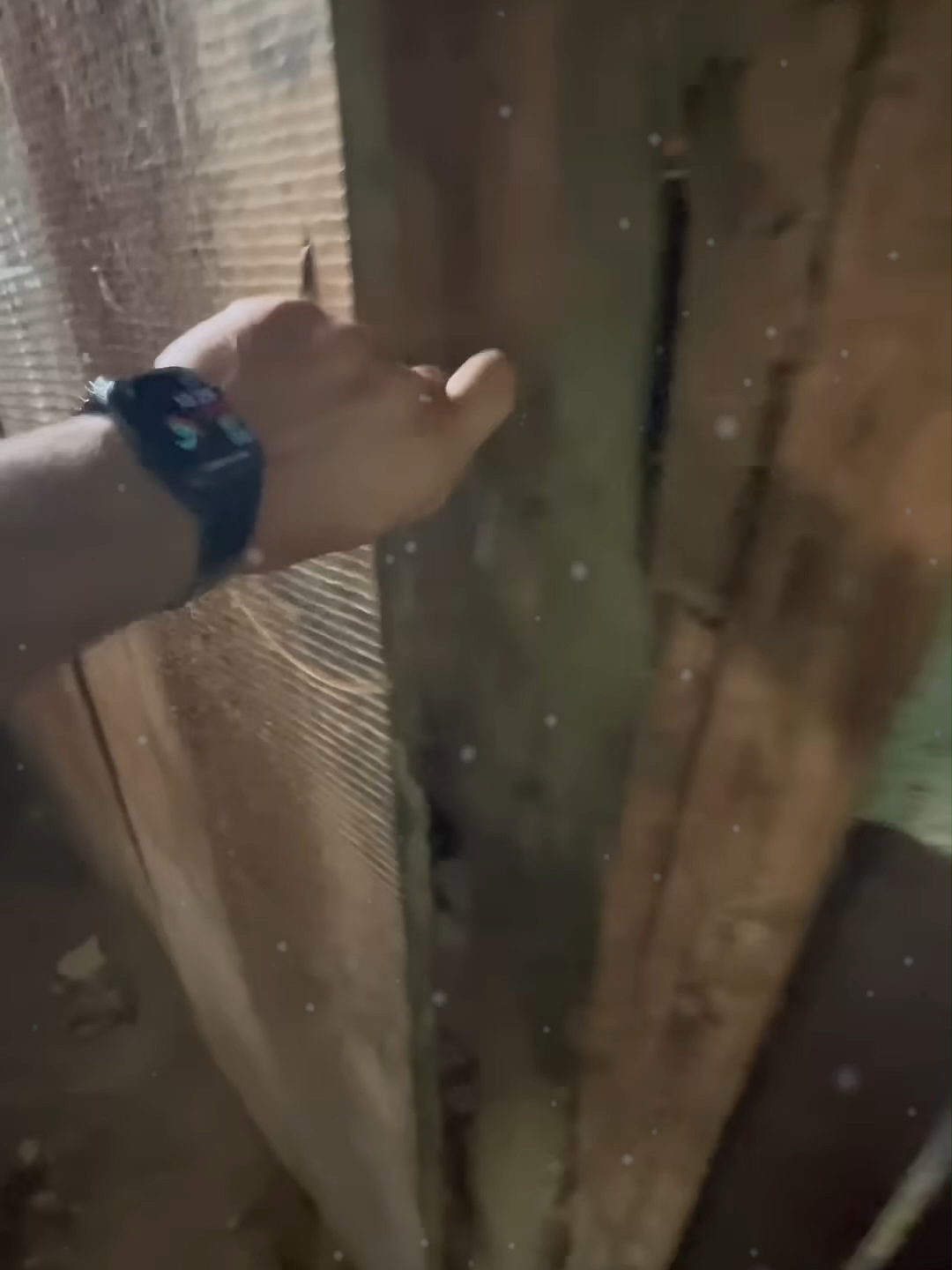 Запуск! Престарелая Забытая Победа Снова в Строю! #авторазборка #запуск #ремонт #грасс #победа #м20