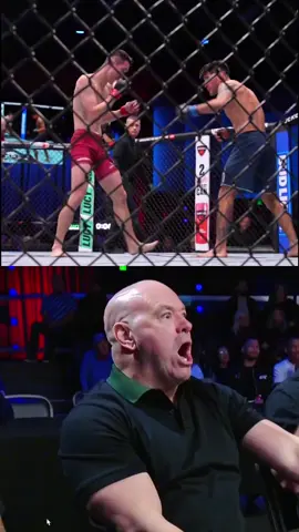 HOLY SHIT the sound of that elbow and Dana White’s reaction 🤯😂 #UFC #mma #dwcs #danawhite #danawhitecontenderseries 