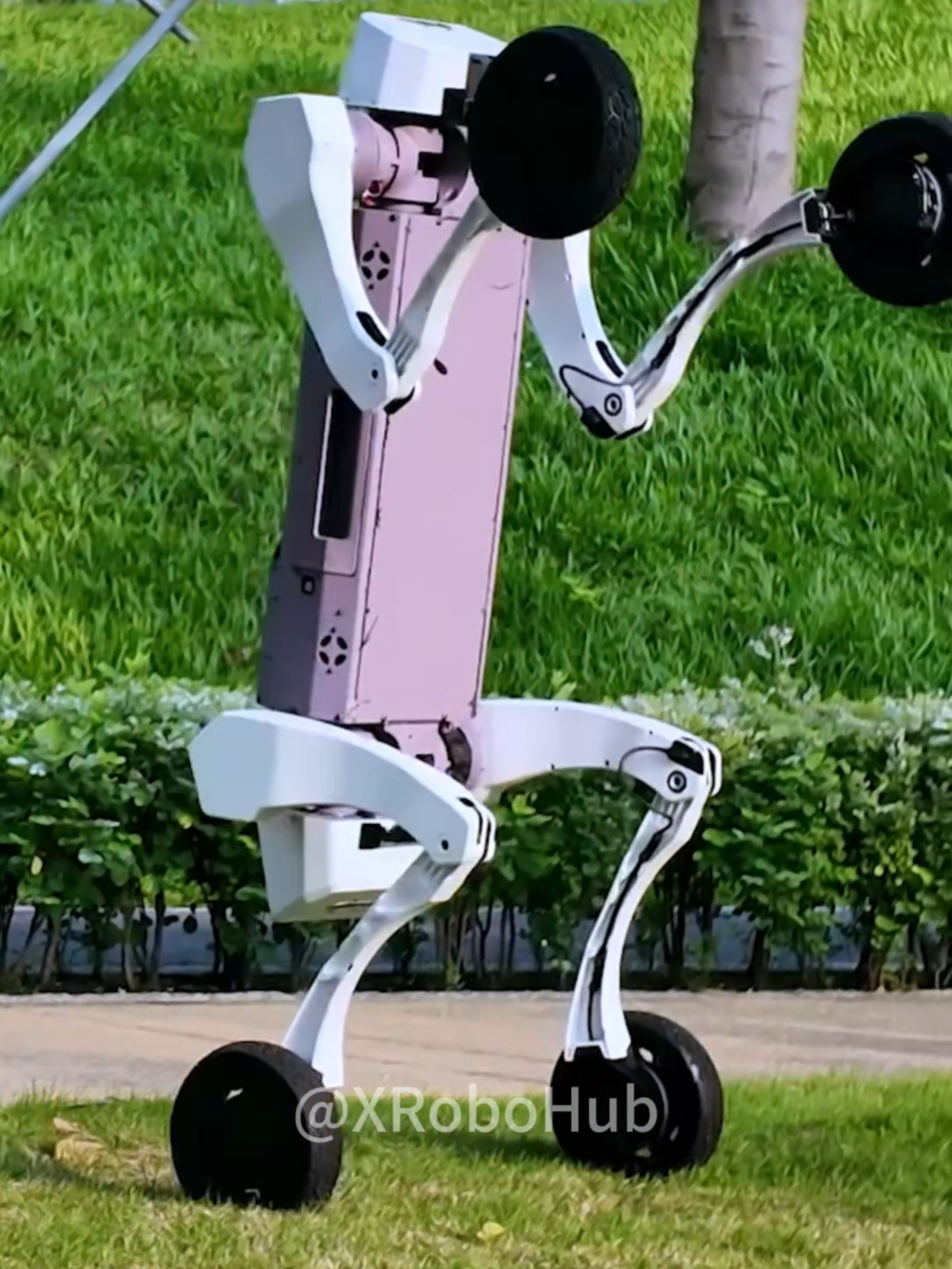 💥 LIGHTYEAR M1: #Offroad Mobility Master! The Ultimate All-Terrain Robot! #RobotDog#WheeledLegged #robotics #AI