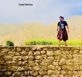 DRY FRUTU WALA #PASHTO #meme #repost #foryoupageofficiall #following 