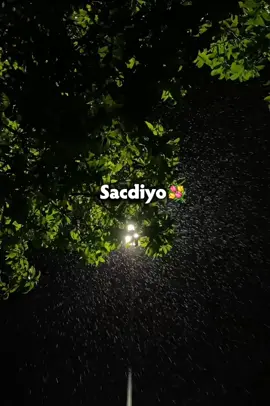 Sacdiyo🎀#foryou #sacdiyo #viewsproblem #🌼🎀 #jacyl❤️ 