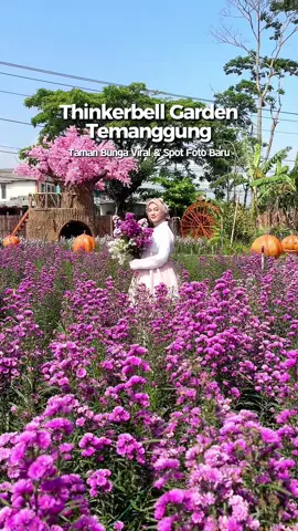 Ada yang baru di taman bunga viral @_tinkerbellgarden Temanggung, spot foto baru ada rumah pohon, kincir air, mirror selfie, pohon sakura, rumah hobbit dan ayunan 📸✨ . Sekarang ada persewaan baju hanbok korea juga, buruan kesini sekarang karena bunganya lagi bagus-bagusnya 😍 . 🌺🌼 📌 TINKERBELL GARDEN TEMANGGUNG (@_tinkerbellgarden) 📍 Lokasi: Halaman Belakang Gudang Rempah Resto, Sawah, Campursari, Bulu, Temanggung, Jawa Tengah 🕘 Jam Operasional: 09:00 - 18:00 WIB (setiap hari) . Info update bunga terbaru: Follow:  @_tinkerbellgarden Follow:  @_tinkerbellgarden Follow:  @_tinkerbellgarden  . . . #temanggung #exploretemanggung #wongtemanggung #wisatajateng #jateng    