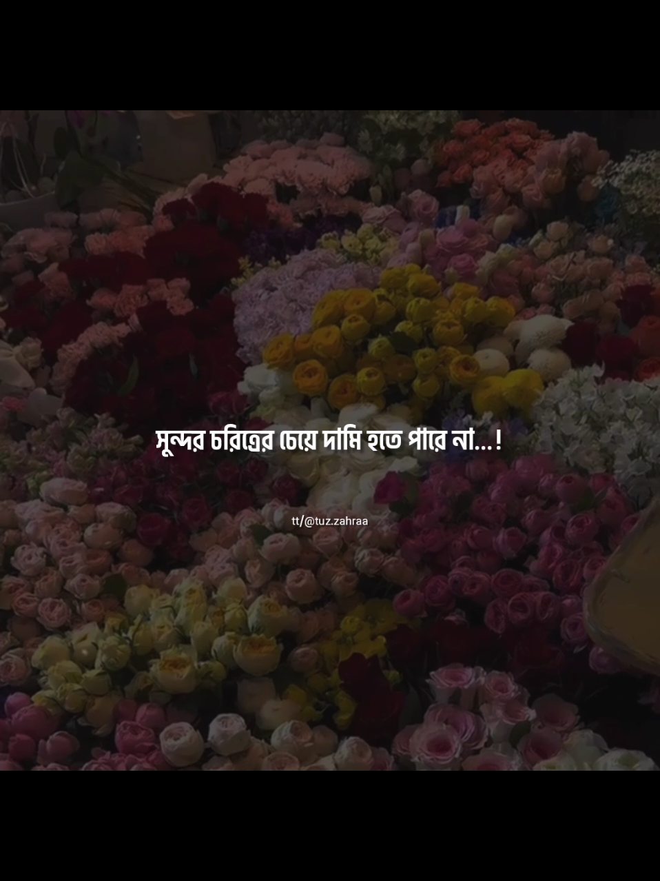 সুন্দর চেহারা কখনো ;সুন্দর চরিত্রের চেয়ে দামি হতে পারে না ❤️‍🩹। #islamic #tuzzahraa #foryoupage #islamiccontent #fyppppppppppppppppppppppp 