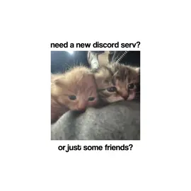 join us #discord #friends #discordserver #roblox #fyp 