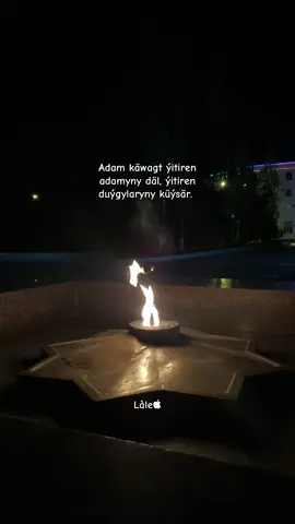 Seylerak yagday :) #rekkkk #rekaciq #rekomendasiya #viraltiktok #fyypppppppppp 