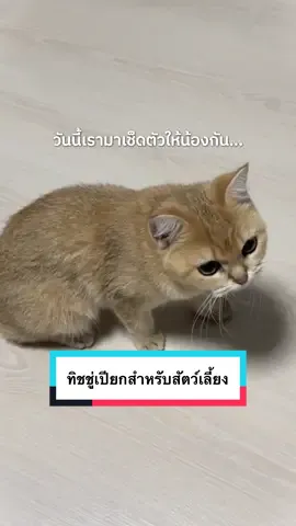 มาเช็ดตัวให้น้องกัน…😻 Pet wipes ทิชชู่เปียกสูตรอ่อนโยน 🍃 สำหรับสัตว์เลี้ยง ☺️ #hicare #ทิชชู่เปียก #ทิชชู่เปียกสัตว์เลี้ยง #สูตรอ่อนโยน 