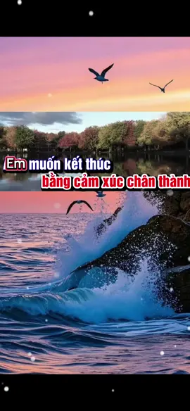 Em muốn kết thúc cuộc tình mình bằng một đám cưới thật linh đình nhưng...#tamtrang #nhactamtrang #nhachaymoingay #nhaclyrics #xuhuongtiktok 