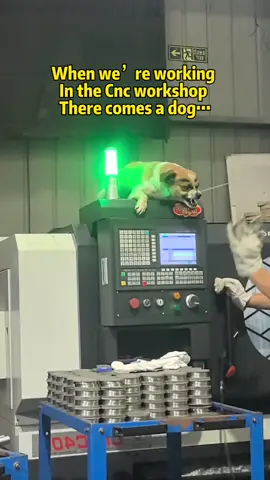 When we’re working in the Cnc workshop, there comes a 🐕 #cncmachining #cncturning #precisionparts #cncparts #cncfactory 